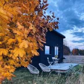 Field View Cabin